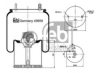 BPW 0542943250 Boot, air suspension